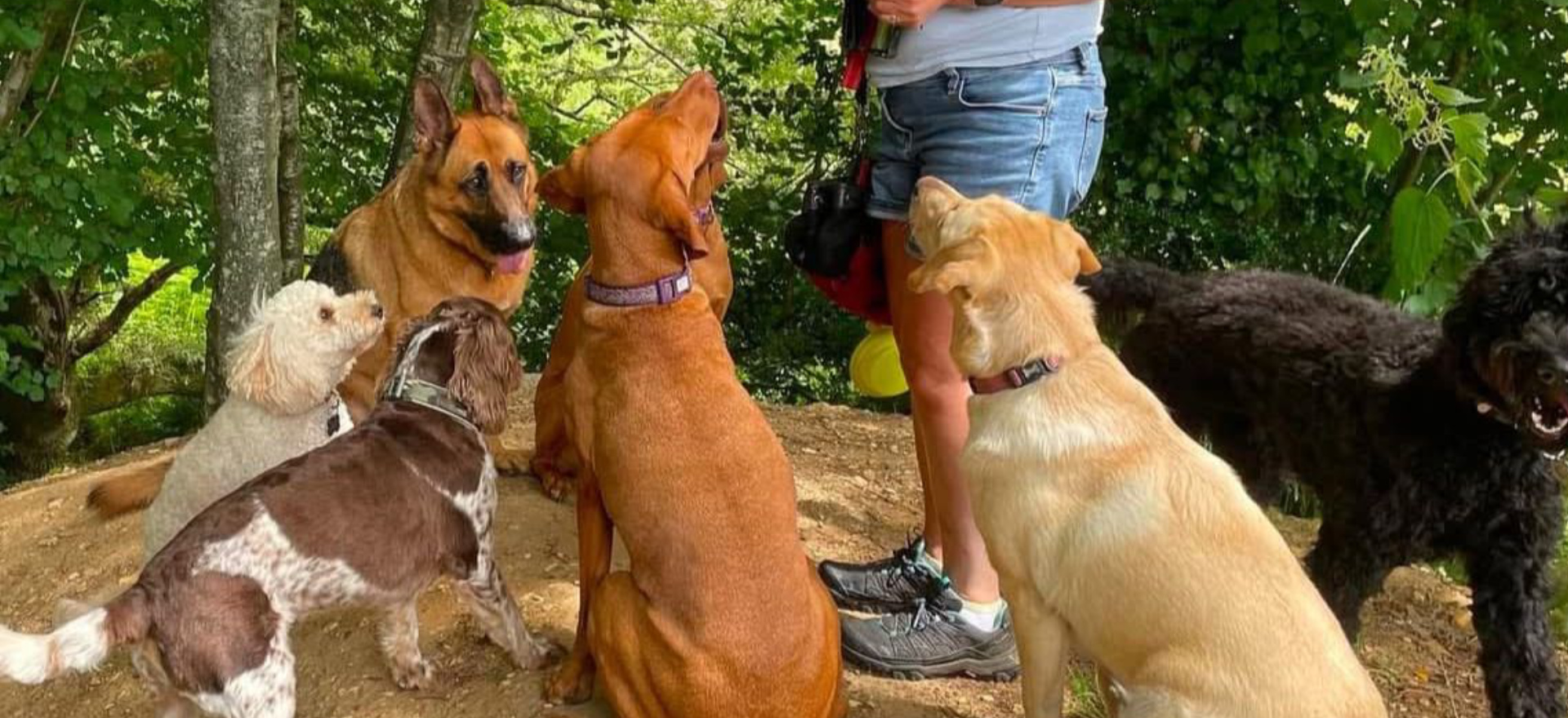Catherine’s K9 Care
