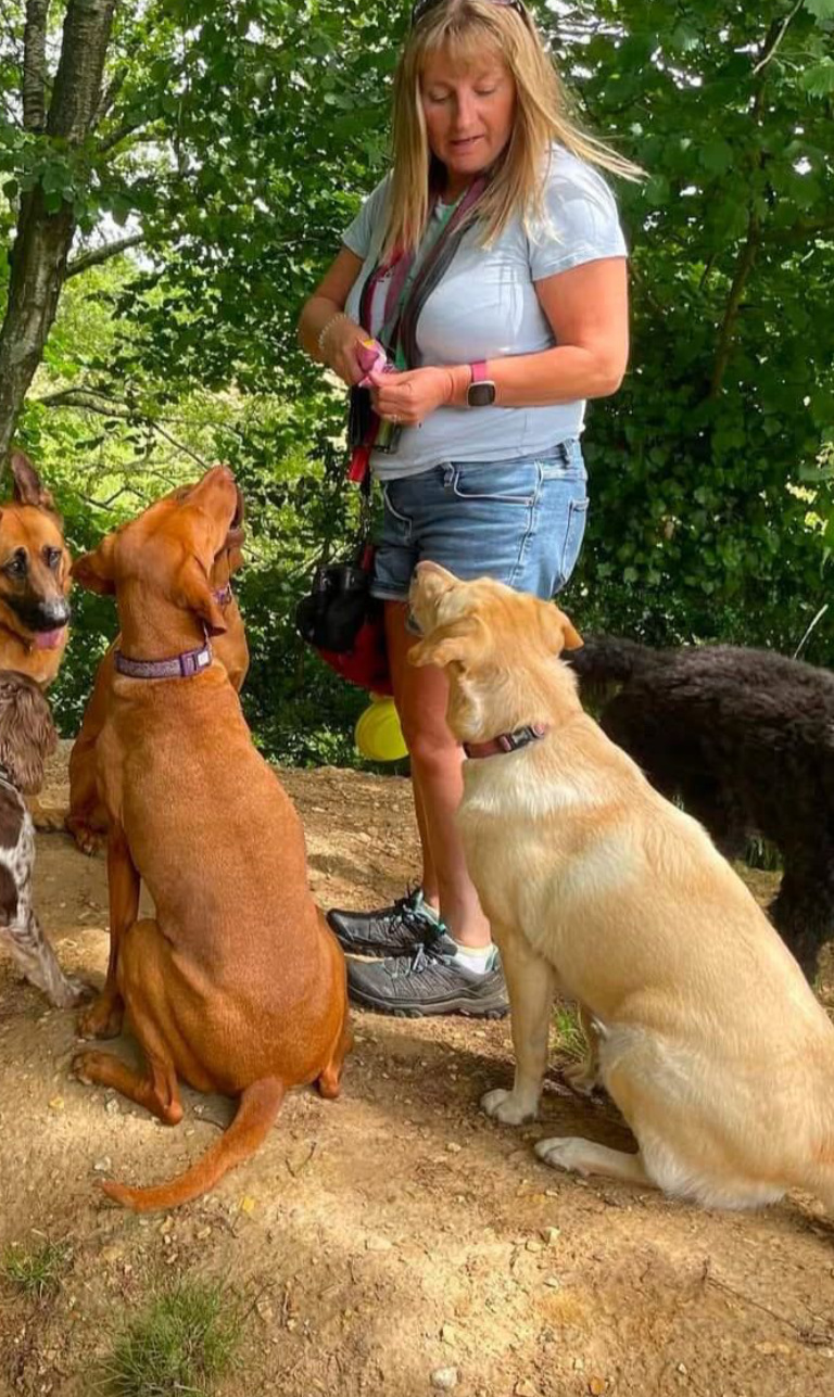 Catherine’s K9 Care